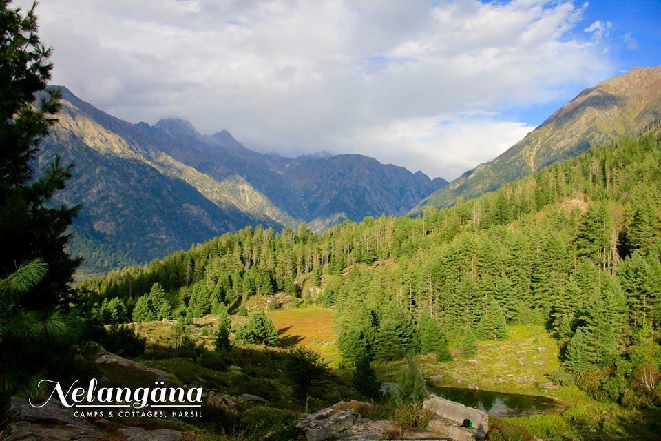 Nelangana Resort Harsil Zewnętrze zdjęcie
